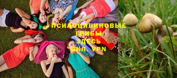 ECSTASY Аркадак