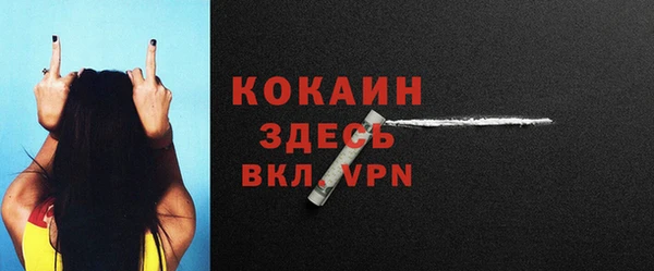 кокс Арсеньев