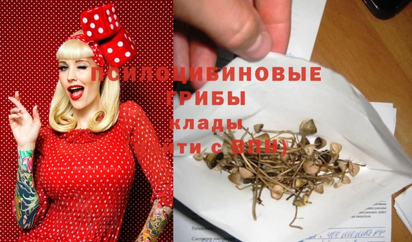 кокс Арсеньев