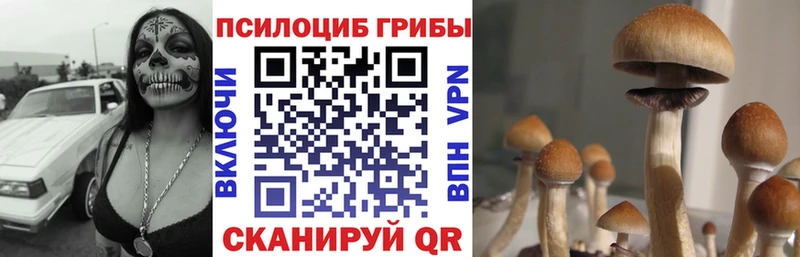 Галлюциногенные грибы мухоморы  Сосновка 